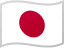 JPY flag