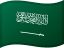 SAR flag